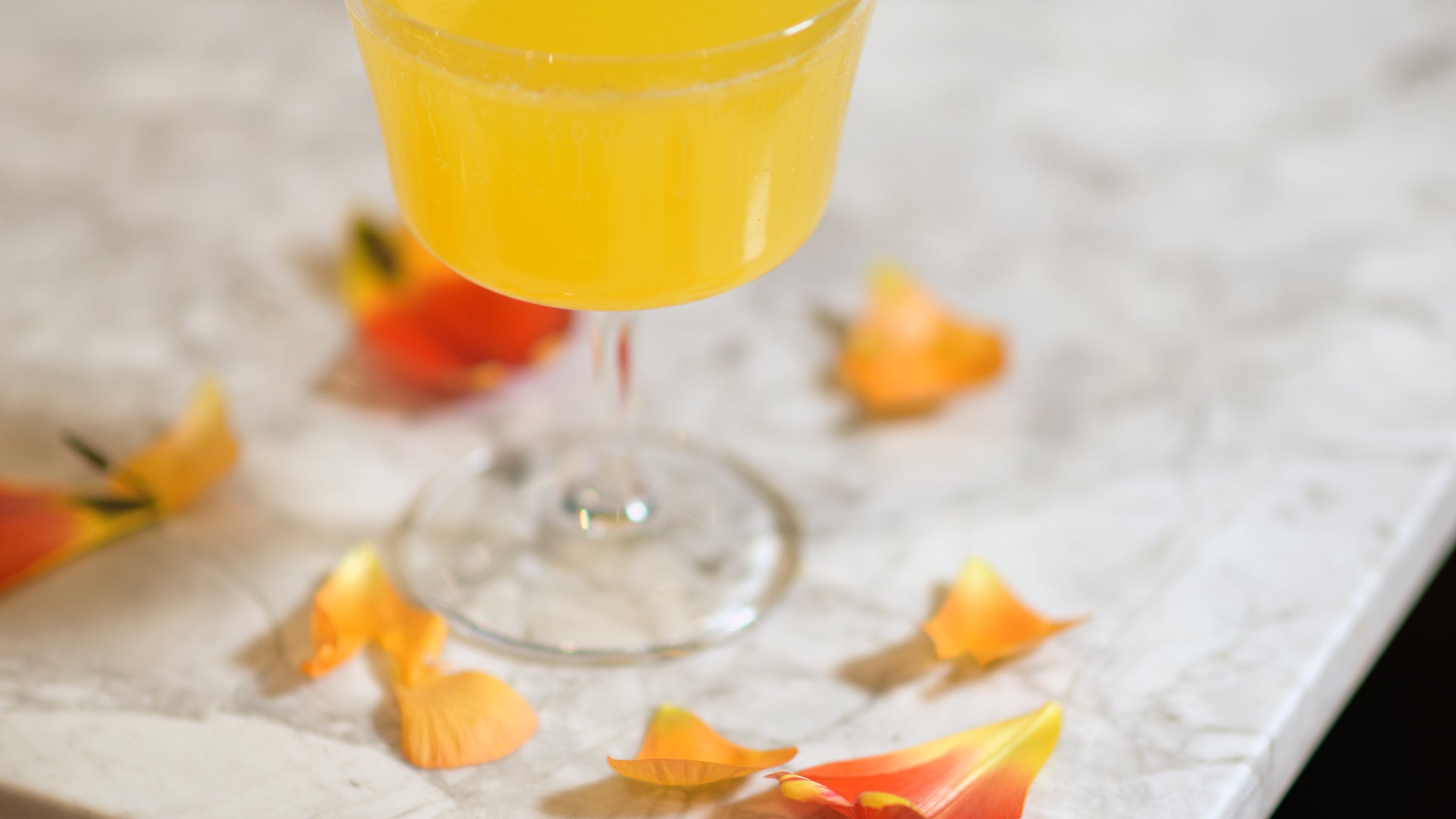 Glassware Gift Guide: Perfect Presents for Wine and Cocktail Lovers