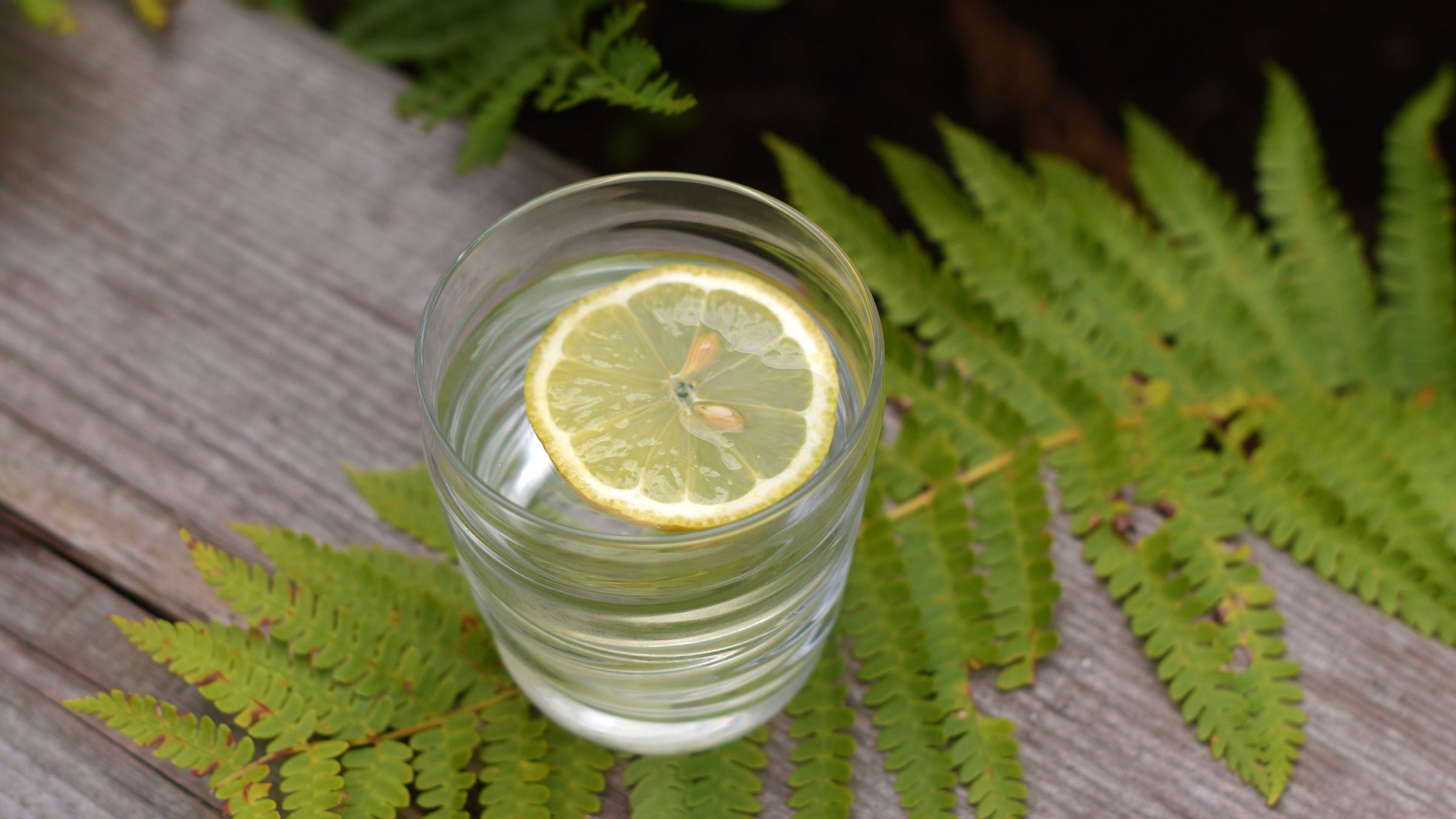 Sparkling Water Glasses