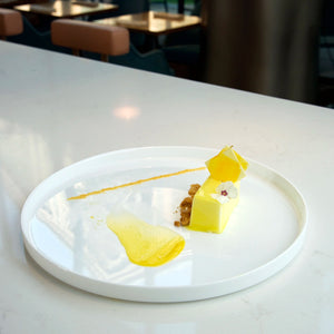 Bormioli Rocco Alta Cucina 10.5" x 0.75" Opal Glass Medium Stacking Plate (Set of 12)