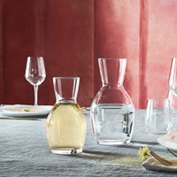 Side view of Ypsilon 20 oz. Wine Carafe (Set of 6)
