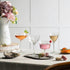 Bormioli Rocco Bartender Novecento Liberty collection