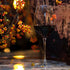 Bormioli Rocco InAlto Tre Sensi 18.5 oz. Large Red Wine Glasses (Set of 6)