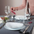 Bormioli Rocco Prometeo 10.75" x 9.5" Opal Glass Dinner Plate (Set of 24)