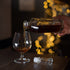 Bormioli Rocco Riserva 17.75 oz. Cognac Glasses (Set of 6)